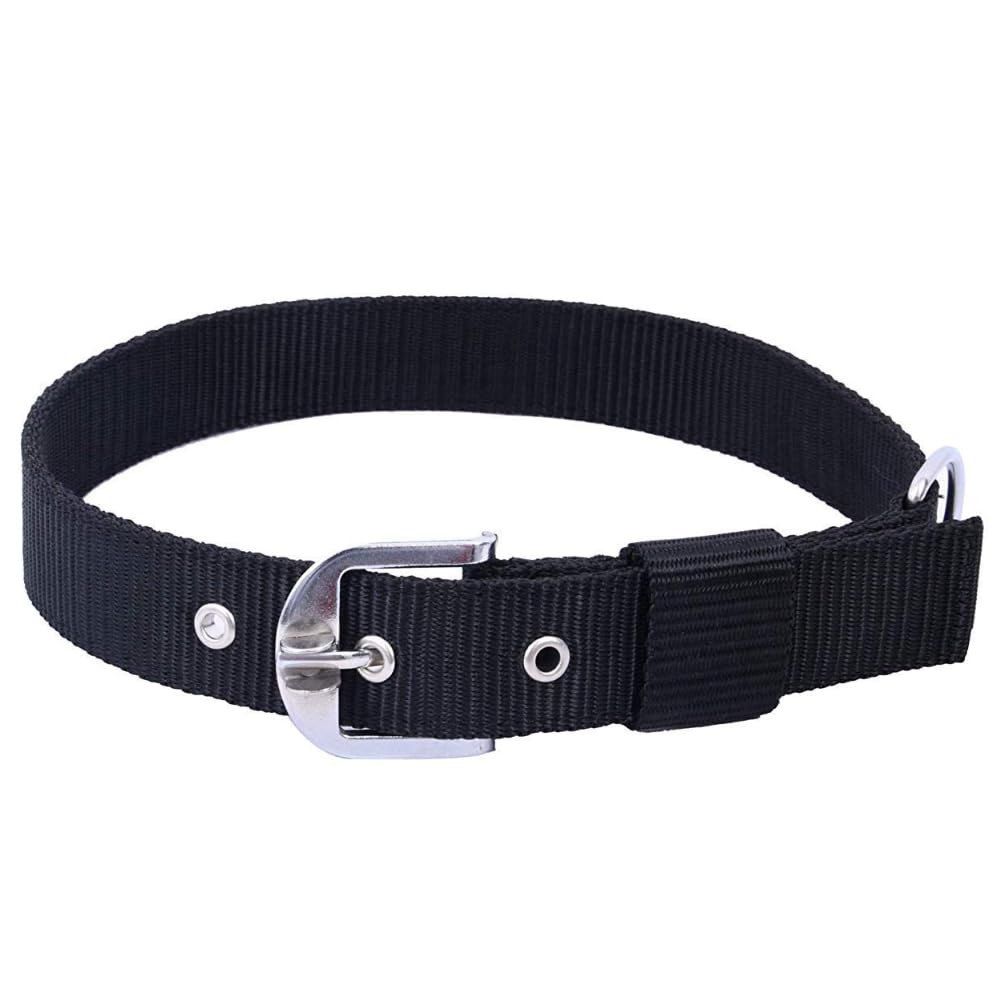YOUNIQUE MERCHANDISE Fancy Nylon Export Quality Dog Collar (Large, Blue) (B09J2P1FTW) Amazon Price History, Amazon Price Tracker
