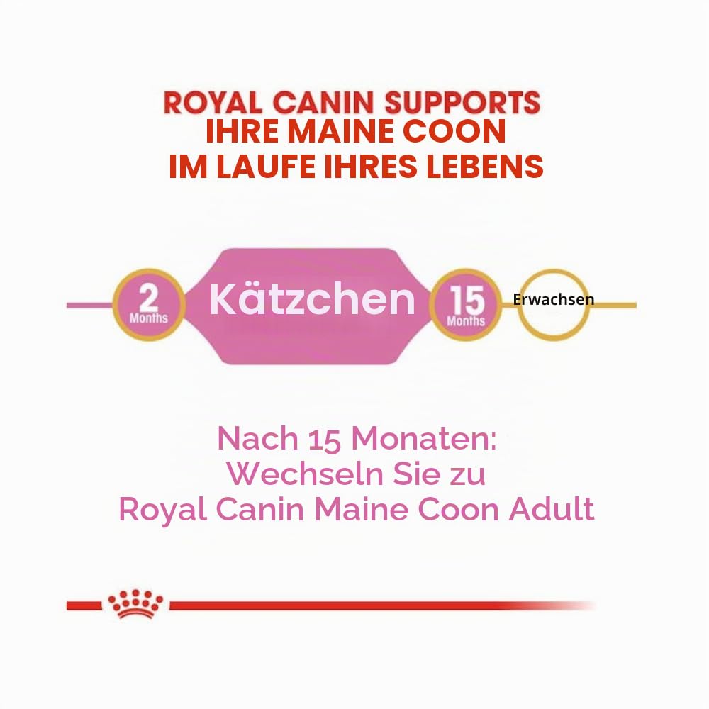 Royal Canin Maine Coon Kitten | Confezione Tripla | 3 x 400 g | Cibo secco per gatti | Specifico per cuccioli di gatto Maine Coon | Per favorire la digestione e il sistema immunitario