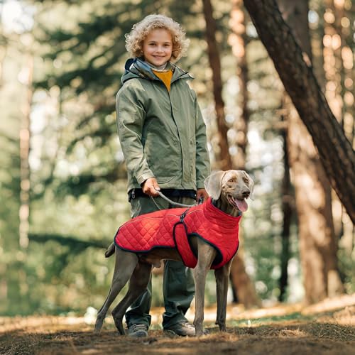 Abrigos para perros para clima frío con chaleco de algodón acolchado impermeable 8