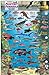 Monterey Peninsula Dive Map & Reef Creatures Guide Franko Maps Laminated Fish Card by Franko Maps Ltd. (2006-06-01)