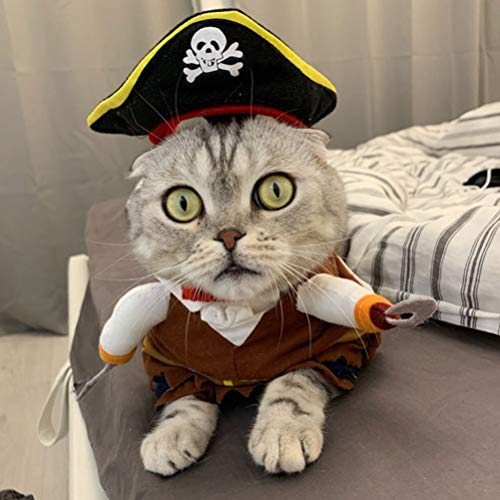 Disfraz Pirata para Perros Halloween Talla S miniatura 4