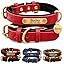 Red collar without leash
