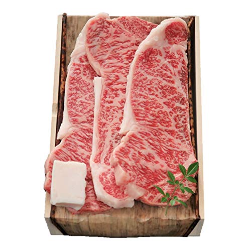 Ε Ε Mtg y ① z ㋍ A5 T[C Xe[L (250g × 3) y  ˔ z j Ԃ jԂ   ⋍