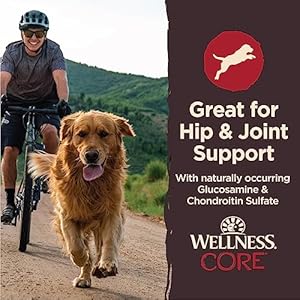   Wellness-CORE-Healthy-Joints-Crunchy-Dog-Treats-Grain-Free-8-Ounce-Bag
