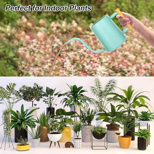 Image of Watering Can Indoor Plants, 35 oz /1000 ml Metal Stainless Steel Watering Can Pot with Long Spout for Indoor House Plants Bonsai Outdoor Garden Flower Decorative (Green