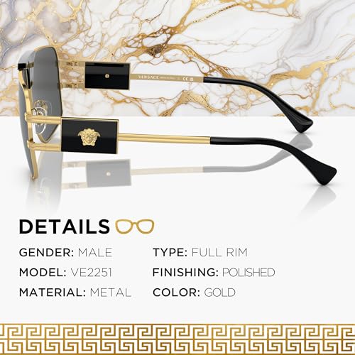 VERSACE VE2251 Navigator Sunglasses with Luxury Eyewear kit3