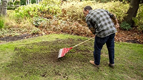 Scotts Turf Builder Quick + Thick Grass Seed (Sunny Conditions), 1.2kg (191 sq Meters / 2,066 sq feet Coverage) | Sunny Bluegrass Mix to Grow a Green, Thick Lawn in Areas Highly Exposed to the Sun - 3