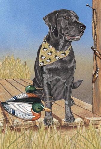 Labrador Retriever Black Blank Note Cards Boxed