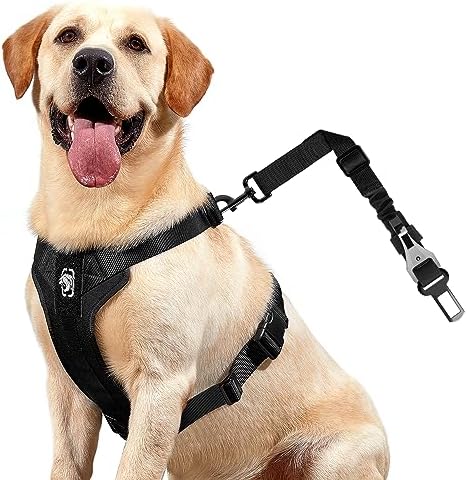 OneTigris Dog Safety Vest Harness, REX Car Use Dog Harness Adjust...