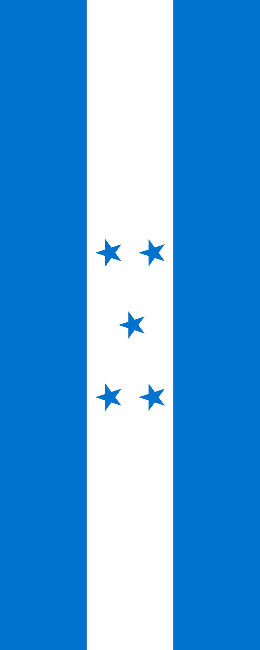 Drapeau Honduras portrait 300x120cm grand pavillon vertical extérieur 3.5m²