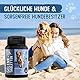Tierkraft Gelenktabletten für Hunde - Made in Germany - Gelenktabletten mit Grünlippmuschel - Teufelskralle - MSM - 100 Gelenk- & Knochenschutz Tabletten