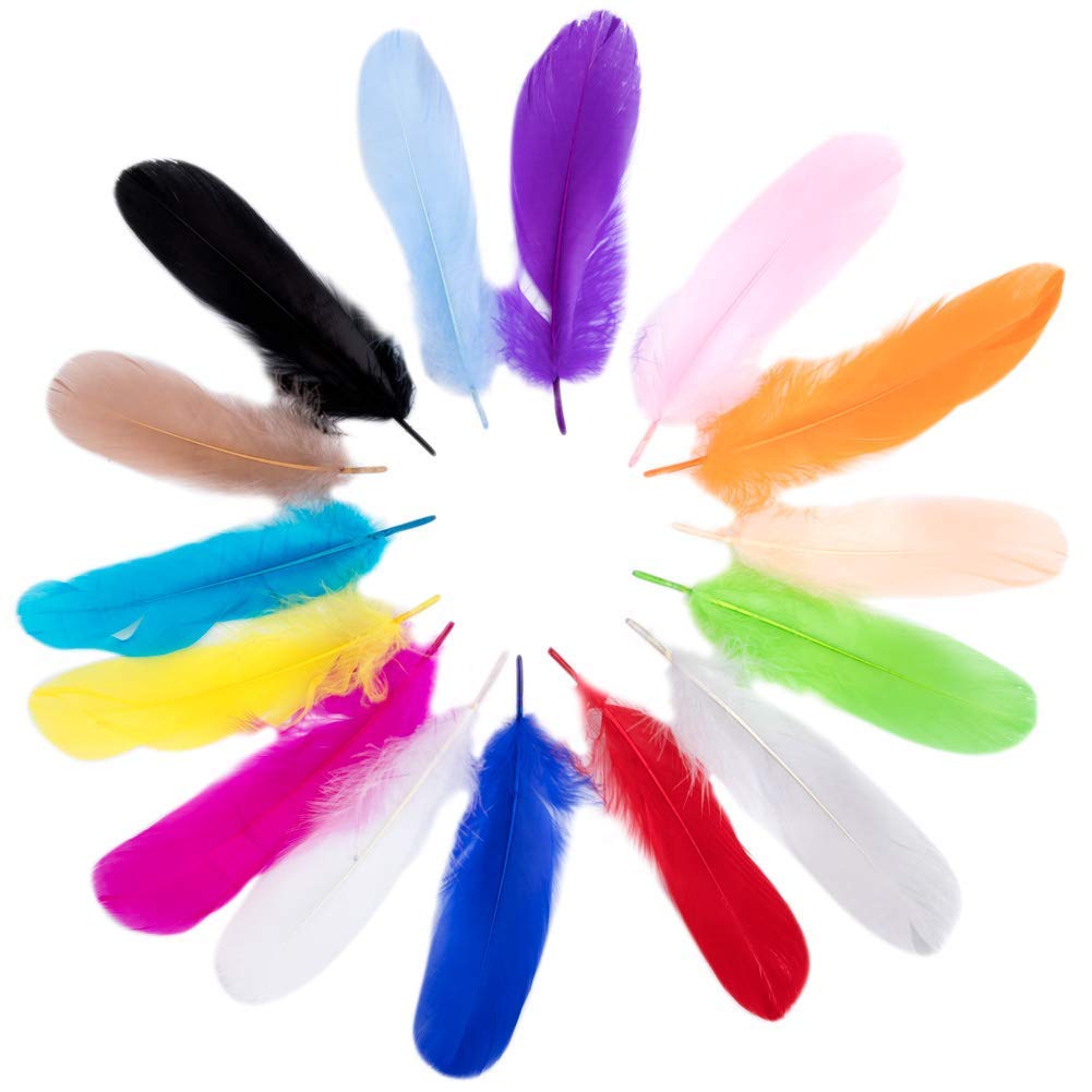 100 Pièces Plumes D'oie De L'artisanat Naturel Plumes D