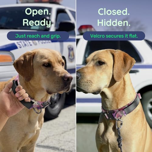 Image of Premium Tactical Dog Collar - Adjustable Military Heavy Duty Dog Collar for Medium Large Dogs - Durable Metal Buckle Dog Collar with Leather Control Handle and Soft Comfortable Padding