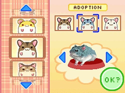 Hamsterz Life - Nintendo DS (Renewed)