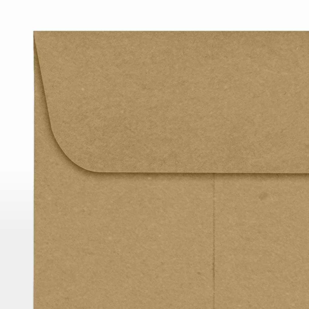 1 pièce de monnaie enveloppes 2 1/4 x 3 1/2 en 57.15 x 88.9 mm Grocery Bag Brown