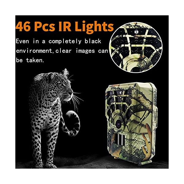 ProsperveilUK HD Wildkamera - 16MP 1080P HD Jagdkamera 120° Weitwinkel IP54 Wasserdicht Nachtsichtkamera mit 32G… – Bild 7