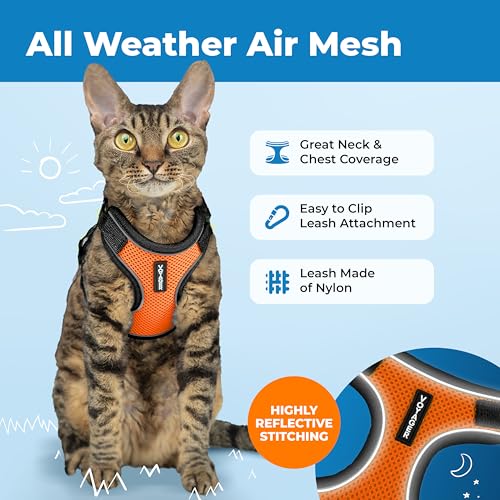 Image of Voyager Escape-Proof Step-in Lock Cat Harness & 5ft Neoprene-Handle Leash Set All-Weather Mesh with Reflective Stitching for Small to Large Cats by Best Pet Supplies, Black Trim-Orange (327), XXXS