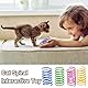 Moosono 60 Stück Bunte Spirale Katzenspielzeug, Interaktives Spielzeug für Katzen, Plastik Spiralen Katzenspielzeug Set, Neuheit Haustier Spielzeug Spiralfedern