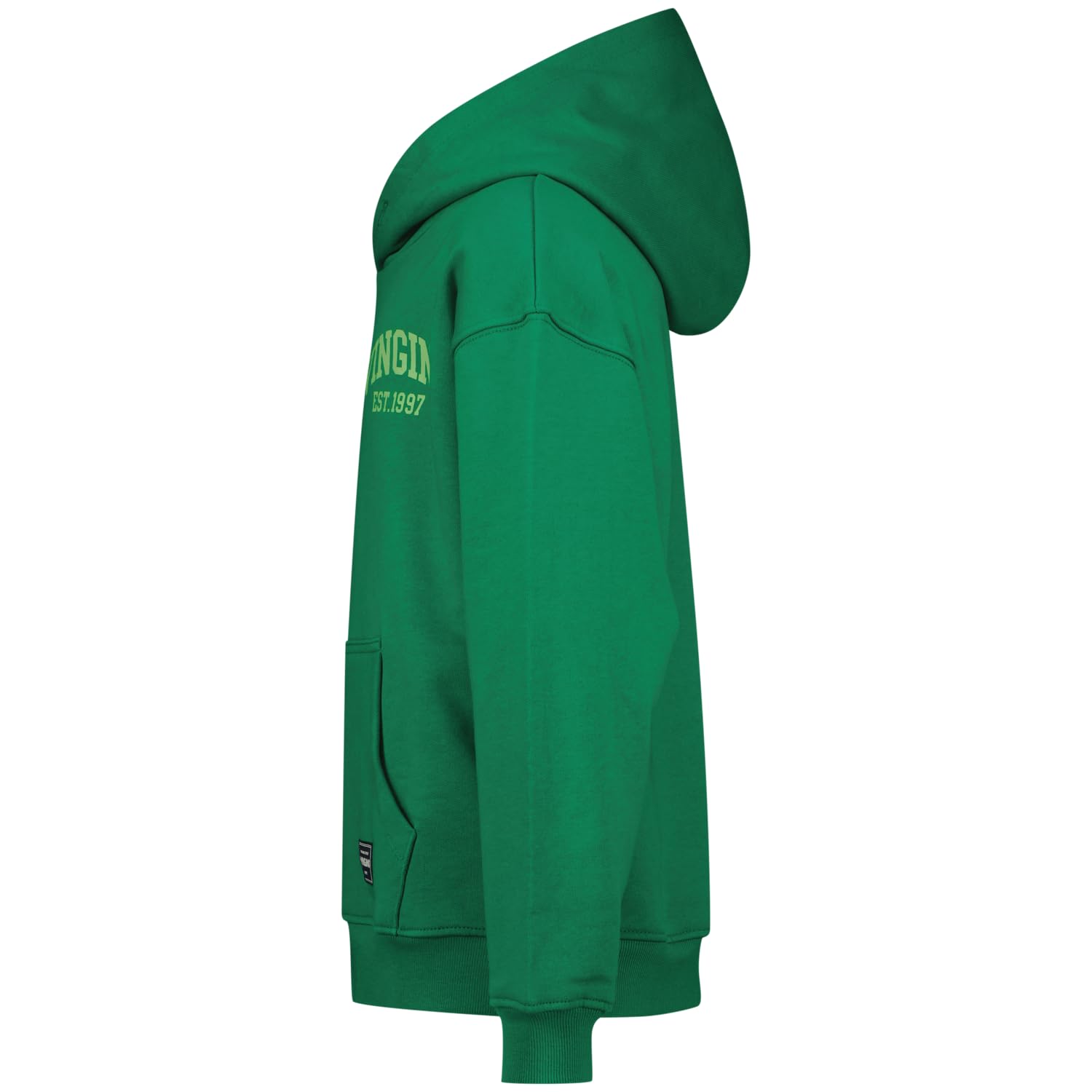 Vingino Boys Icon-Hoody in Color Green Tambourine Size 16 of The Collection AW25