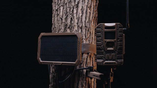 Mitiru Toma　カードル2個セット Amazon.com : Muddy Mitigator 2.0 Cellular Trail Camera Combo 2PK