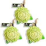 LABOTE Handgemachte thailändische Bio Naturseife Jasmin mit typischem Duft, 3 Stück