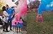 Baby Gender Reveal Pink and Blue 90-Second Color (2 Pink and 2 Blue)