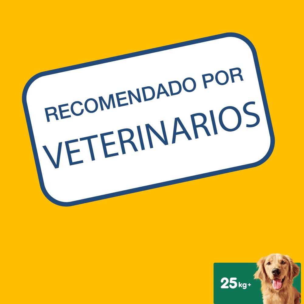 Pedigree Dentastix - Friandises pour grand chien, 112 bâtonnets à mâcher pour l'hygiène bucco-dentaire (16 sachets de 7 Sticks)