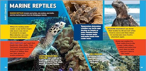 Callisto Kids Hestermann, Bethanie The Fascinating Ocean Book For Kids: 500 Incredible Facts! thumb #4