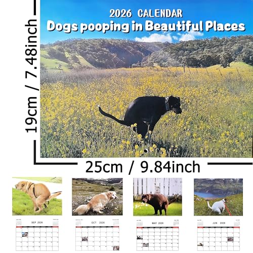 Kackende Hunde Kalender 2026, Dogs Pooping in Beautiful Places Calendar 2026, Hunde beim Kacken Kalender, Pooping Dogs Calender 2026, Lustiger Wandkalender für Hundefreunde