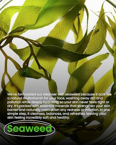 Image of Salicylic Acid 1% Face Wash for All Skin Types, with Seaweed for Skin Hydration