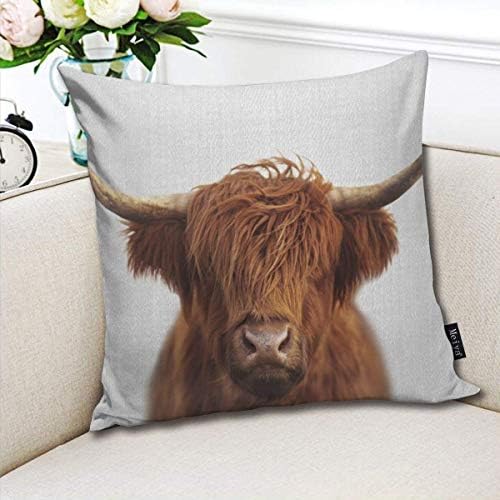 Highland cow colorful Home Decorative Throw Pillow Case Cushion Cover for Gift Home Couch Bed Car 18" x18"