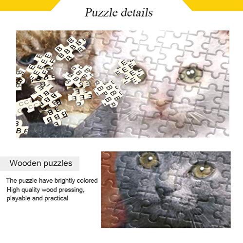 Amazon.co.jp: MAKIKU 1000ピース ジグソーパズル 猫柄 動物 50*75cm