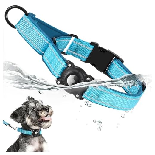 LLUAII Airtag Dog Collar, Reflective Martingale Dog Collar with IP68 Waterproof Airtag Holder, Quick Release Buckle Soft Padded Collars for Large Medium Small Dogs, Blue