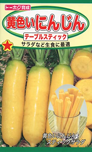 Ѓg[zN Fɂ񂶂 02171