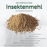 Nature's Protection Superior Care White Dogs Getreidefrei Gesundes Wachstum & Entwicklung Leckerlis mit Insekten für Junior Hunde Aller Rassen, Tränenflecken Reduktion, 150g