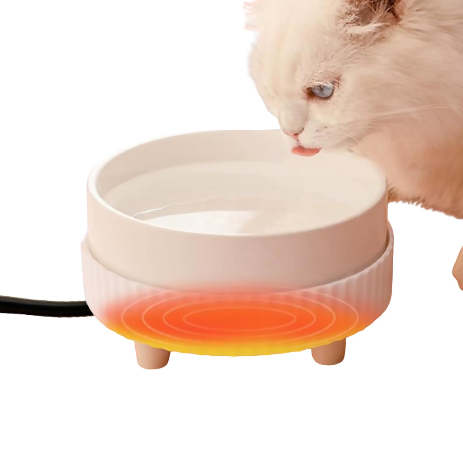 Gamelle chauffante pour animaux de compagnie contre l'eau gelée en hiver