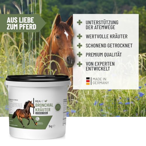 ReaVET Bronchialkräuter Pferd 1kg - Natürliche Kräuter bei Husten & Schnupfen, Atemwegskräuter Pferde als Ergänzungsfutter, Hustenkräuter für freie Atemwege