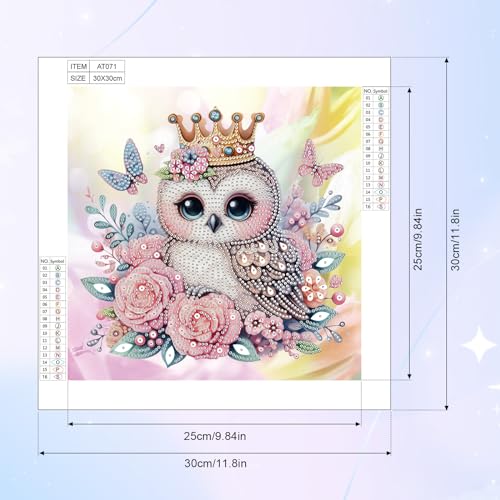 Image of AiYuanzsh Diamond Art Kits for Adults, 5D Special Shape Owl Diamond Painting, Crystal Rhinestones Diamond Art Kits for Beginners, DIY Animal Diamond Art for Home Wall Decoration Gift, 12x12 Inch