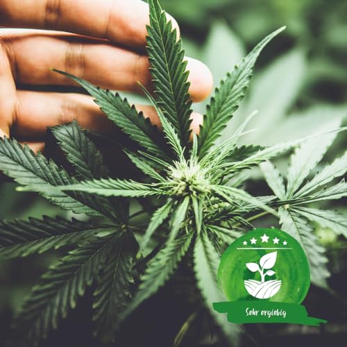 Pflanzenlampe LED, Pflanzenlicht, Pflanzenleuchte 72W, Wachsen licht with 144 Leds, Wachstumslampe Vollspektrum Wachstumslampe für Zimmerpflanzen mit Zeitschaltuhr, Plant Lights Stufenloses Dimmen. 5 Pflanzenlampe LED, Pflanzenlicht, Pflanzenleuchte 72W, Wachsen licht with 144 Leds, Wachstumslampe Vollspektrum Wachstumslampe für Zimmerpflanzen mit Zeitschaltuhr, Plant Lights Stufenloses Dimmen. – Bild 5