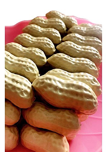 Lorigun 50 Pcs Artificial Peanuts Simulation Nuts Fake Food Home Decorations Plastic Peanuts Decorative Photography Props
