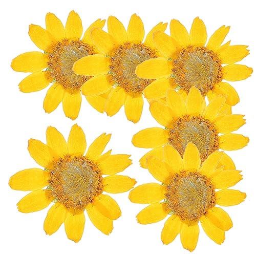 Flores Secas Margaritas 24 Piezas para Manualidades DIY miniatura 1