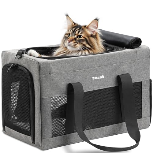 pecute Katzentasche Transporttasche Stabiler Halt Haustier Tragetasche, Transportbox Katze Leicht, Faltbar Katzen Tasche für Katzen und kleine Hunde, ideal für Reisen, bis 6 kg, Hellgrau XL