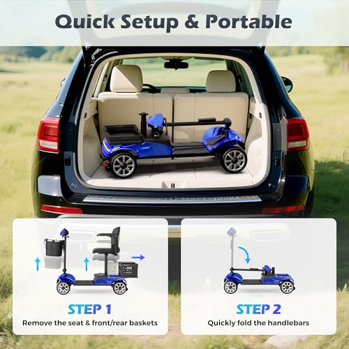 Rylox Foldable 4-Wheel Mobility Scooter