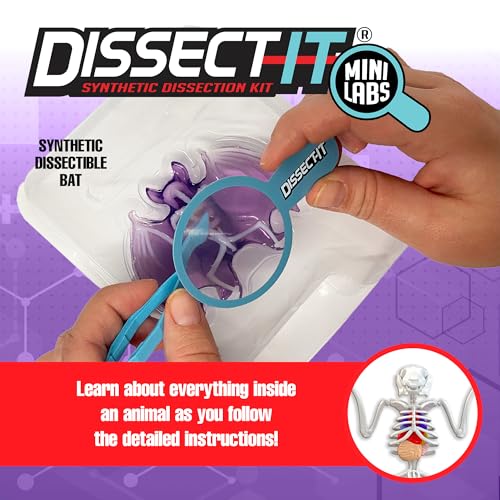 Image of Top Secret Toys Dissect-It Mini Labs Bat Lab Dissection Kit for Kids, Realistic Synthetic Kids Science Kit - On, Biology and Animal Anatomy, STEM Toy, Ages 6+