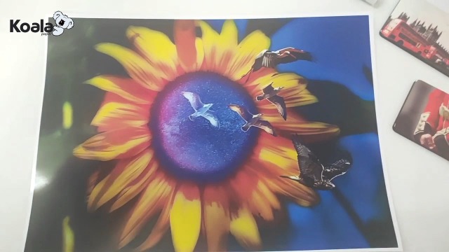 Amazon.com : Koala Brochure Paper Double Side Glossy for Printing