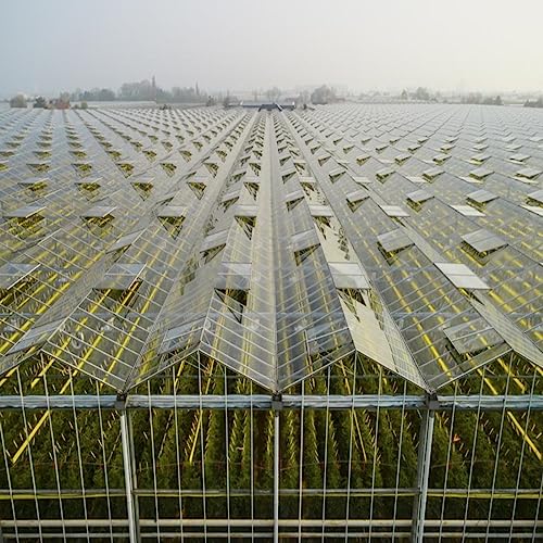 Leafy Creations Automatischer Fensteröffner für Gewächshaus, Autovent, solarbetrieben, wärme aktiviert, Automatische Belüftung.