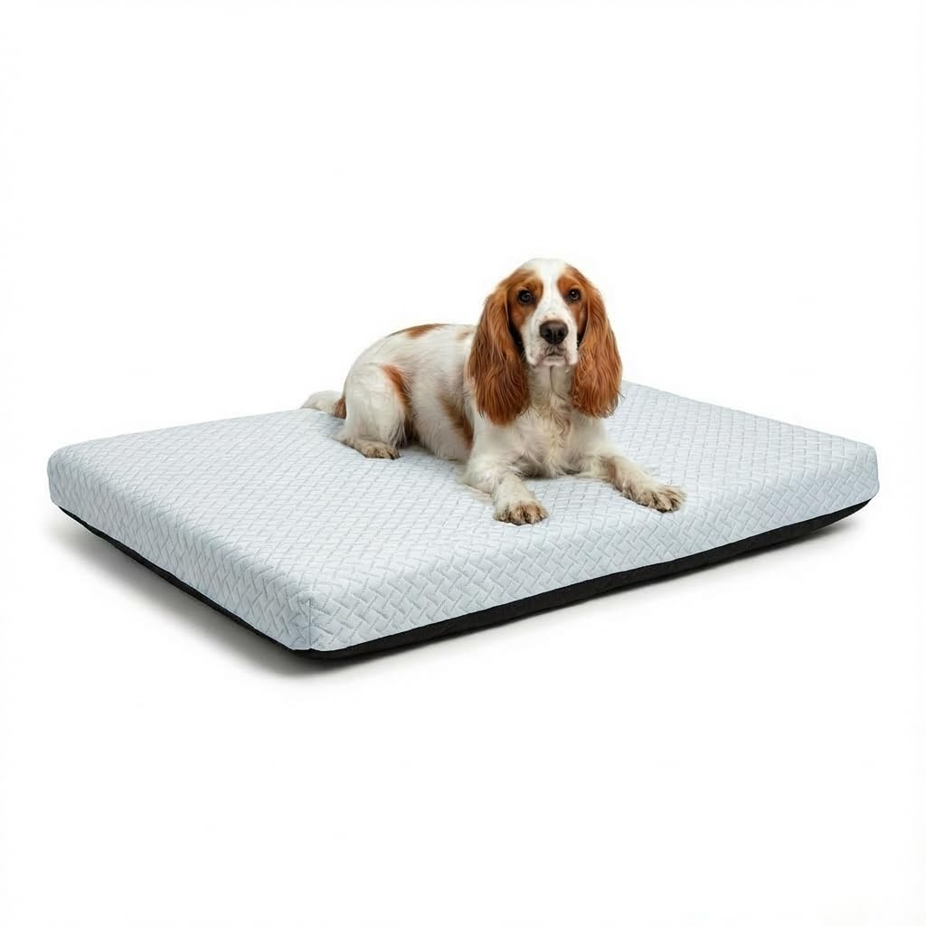 MH Home Dog Bed With Removeable Washable Cover, Pet Cat Beds Cushion Mattress, Soft Warm Dog Mat Pad For Dogs (Medium 60 x 80 cm, Chill Paws) โ image 1