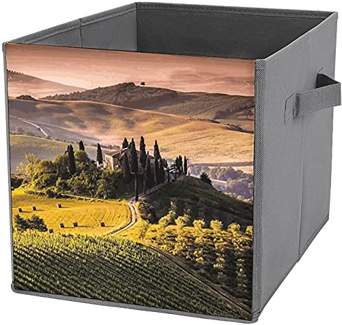 Generic 6 3R 3L M^[yO{^mu `[jOL[ tH[NGLM^[p