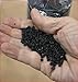 HYSKORE #30203 Rest Bag Fill, Includes 5 lbs. of Lightweight Granular Plastic Pellets and 1 Funnel