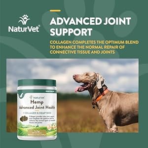 NaturVet Hemp Advanced Joint Health Dog Supplement Soft Chews –Helps Support Joint Health in Dogs – Includes Hemp Seed, Collagen, Glucosamine, MSM, Chondroitin, Omegas – 120 Ct.